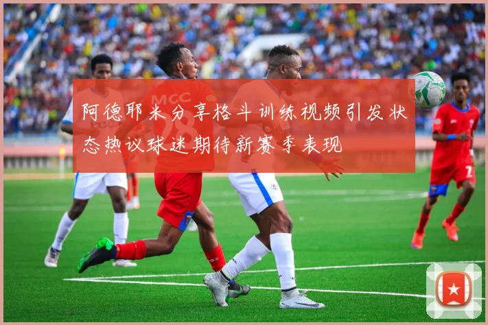 阿德耶米分享格斗训练视频引发状态热议球迷期待新赛季表现