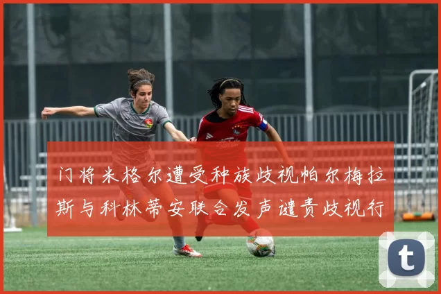 门将米格尔遭受种族歧视帕尔梅拉斯与科林蒂安联合发声谴责歧视行为