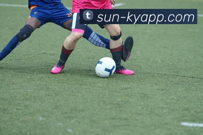 开云体育APP 高清赛事图