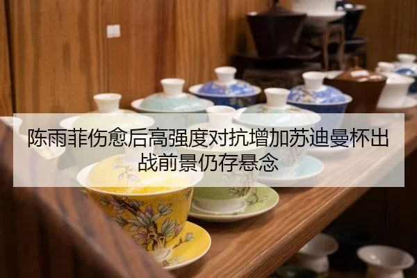 陈雨菲伤愈后高强度对抗增加苏迪曼杯出战前景仍存悬念